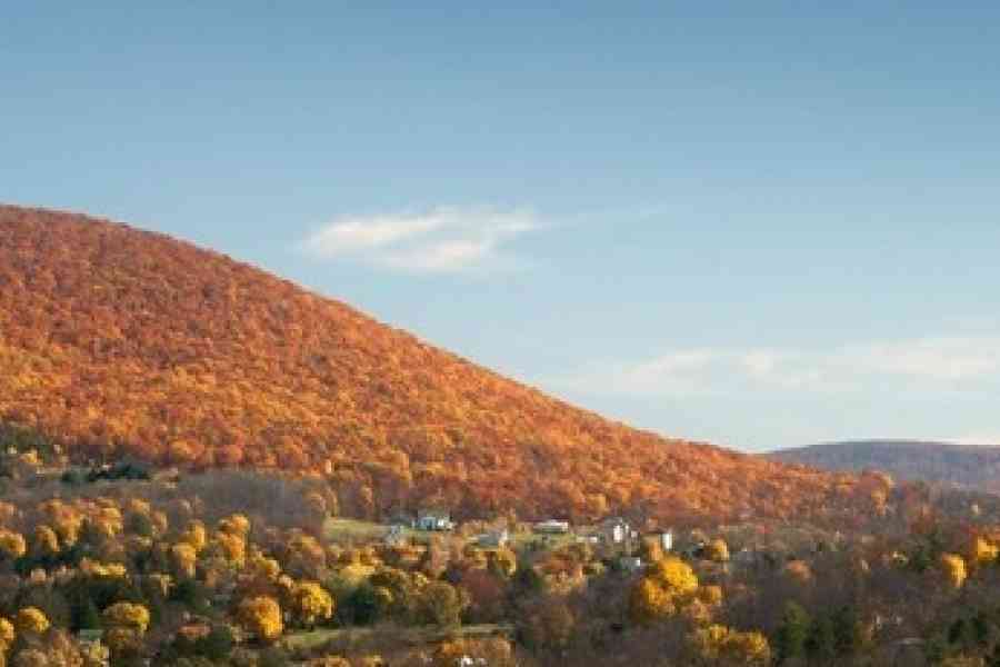Mount Nittany submitted Mt Nittany Fall
