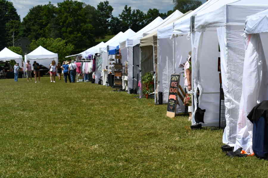 DSC 5527