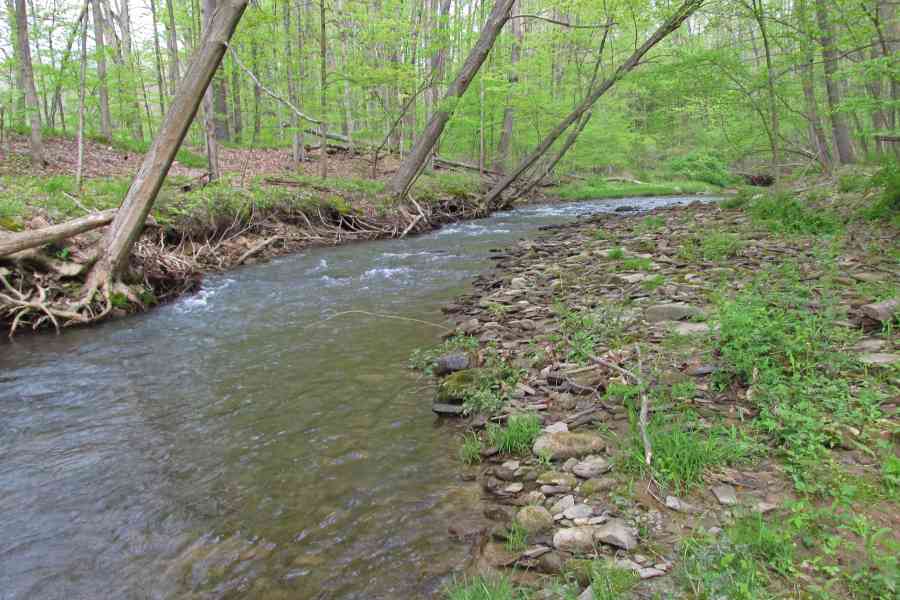 Centre County wild trout stream 2049 ps NALE