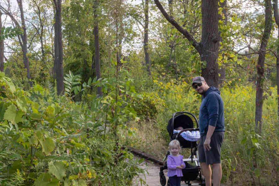 Millbrook Marsh