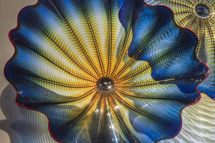 Dale Chihuly, Lupine Blue Persian Wall (detail)